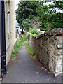 Footpath to the shore