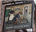 SK9771 : The Widow Cullen's Well by Ian S