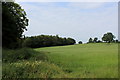 Field North of Stonyhurst Park