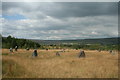 Rhymney Valley Gorsedd Stones