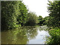 The River Mole south of Molesey Park Road