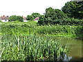 The River Mole south of Molesey Park Road (2)