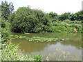 The River Mole south of Molesey Park Road (4)