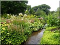 ST3504 : The Bog Garden, Forde Abbey by Oliver Dixon