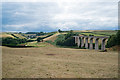 Pinhay : Cannington Viaduct