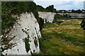 Chalk faces at Church Path Pit