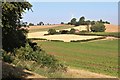 Crops on Combs Farm