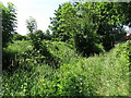 Footpath and the Dead River south of Fleetside