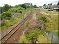 Railway line at Corkerhill