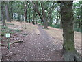 Woodland Path at Ashenhurst, Huddersfield