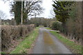 Road from Great Bubhurst