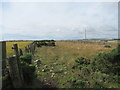 Stoney scrubby area between crop fields and forestry on Kenshot Hill near Laurencekirk