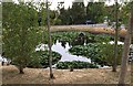 Wisborough Green Village Pond