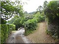 Path to Hexdown and private road