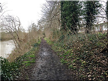 SP2965 : Riverside Walk on the floodbank behind Mercia Way, Warwick by Robin Stott