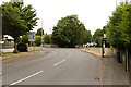 Bus Stop, Nottingham Road