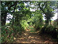 Llwybr ceffyl ger Penrhiw / A bridleway near Penrhiw