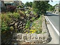 Streamside garden