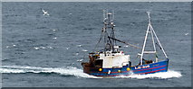 NT9464 : Fishing boat entering Eyemouth Harbour by Mat Fascione