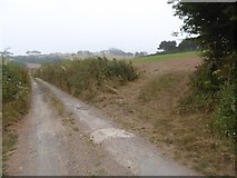 SX6645 : Field gateway by the road to Lincombe by David Smith