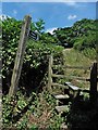 Stile and footpath, leading north from Watery Lane