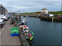 NT9464 : Fishing boats at Eyemouth Harbour by Mat Fascione