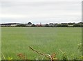 View South over farmland from Greencastle Pier Road