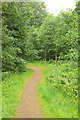 Paths, Roath Park Wild Gardens