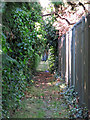 Footpath west of Walton on Thames Water Works