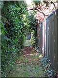 TQ1168 : Footpath west of Walton on Thames Water Works by Mike Quinn