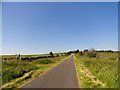 Along the lane to Springwell Farm