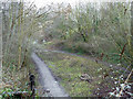 Abandoned railway cutting