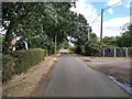 Rural Road at Newney Green, Writtle 