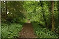 Footpath in Park Wood