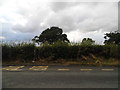 Bus stop on Claypits Hill