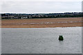 SX9881 : River Exe Buoy 19 Cockle Sand by David Dixon