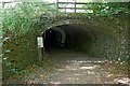 SK3523 : Ticknall Tramway tunnel by Alan Murray-Rust