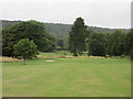 NO4603 : Charleton Golf Course, 13th hole, Wellingtonia by Scott Cormie