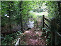 Llwybr glan afon / Riverside path