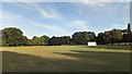 Harold Wood Park Cricket Pitch