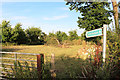 Footpath into an orchard