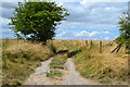 Start of track beside the A360