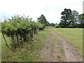 NY3840 : Hedge and farm track near Roe Foot Farm by Oliver Dixon