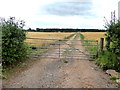 Farm track and field of barley near Roebanks.