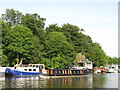 Narrowboat passing Ash Island