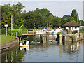 TQ1568 : Overflow channel at Molesey Lock by Mike Quinn