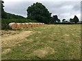 Bales of hay