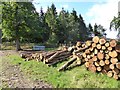 Log pile near Burble Farm