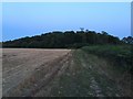 Twilight field view near Hacheston