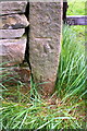 Benchmark on gatepost on NE side of Woodside Lane